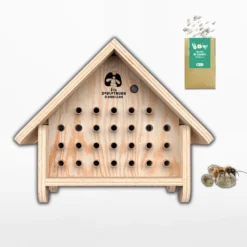 Abri abeilles sauvages + cocons + suivi