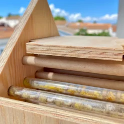 Abri abeilles sauvages + cocons + suivi