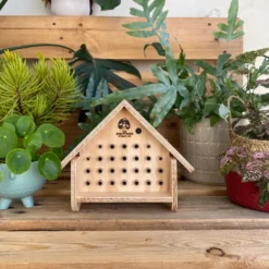 Abri abeilles sauvages + cocons + suivi