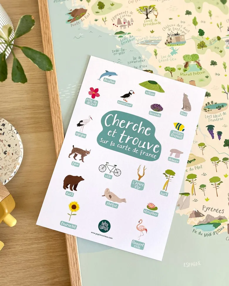 Affiche carte de france a3