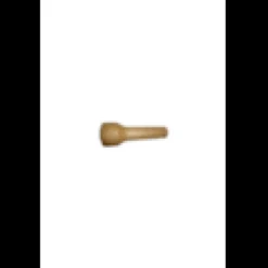 Appeau grive musicienne
