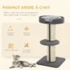 Arbre à chat avec griffoir centre d'activités 2 plateformes coussin