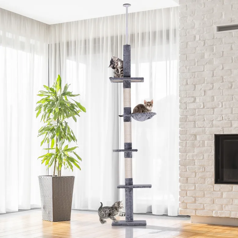 Arbre à chat 5 niveaux d'activités