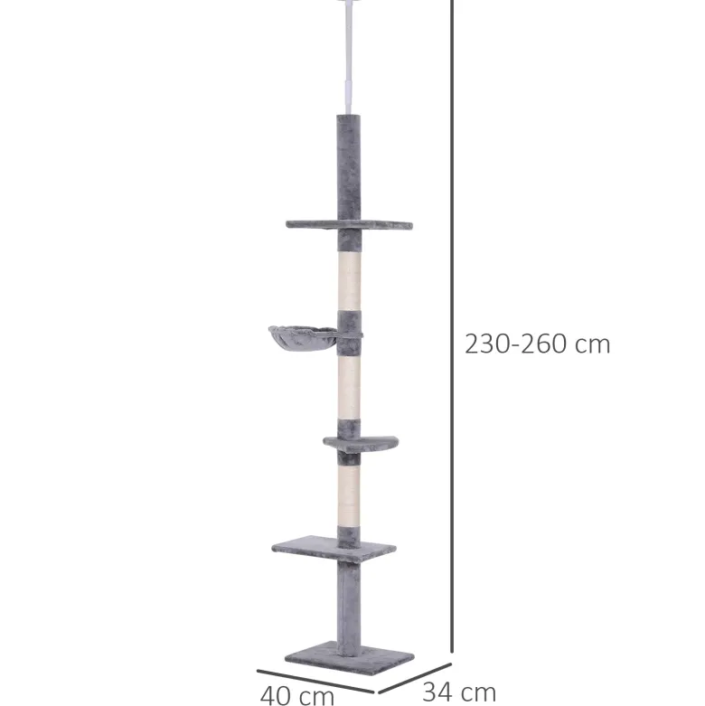 Arbre à chat 5 niveaux d'activités