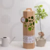 Arbre de mémoire - bouleau
