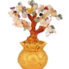 Arbre feng shui 5 éléments