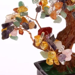 Arbre traditionnel 5 elements