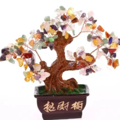 Arbre traditionnel 5 elements