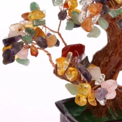 Arbre traditionnel 5 elements