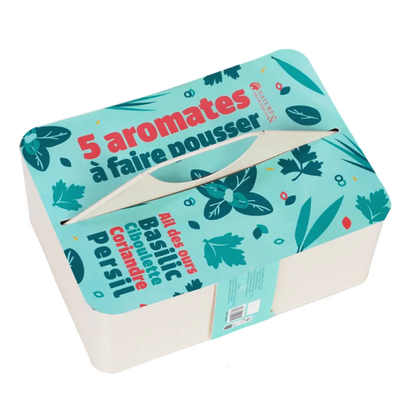5 aromates bio à faire pousser