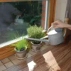 Arrosoir d'intérieur en zinc 1,6 litres