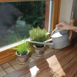 Arrosoir d'intérieur en zinc 1,6 litres