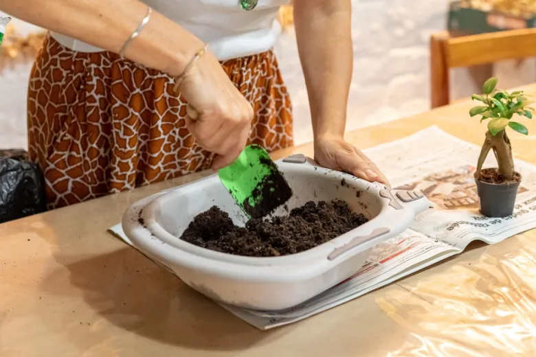 Atelier - kokedama - lille