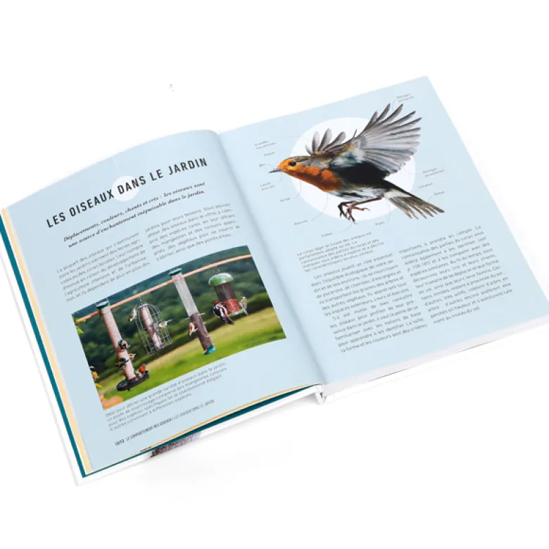 Attirer les oiseaux dans son jardin