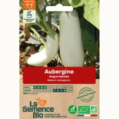 Aubergine longue blanche bio