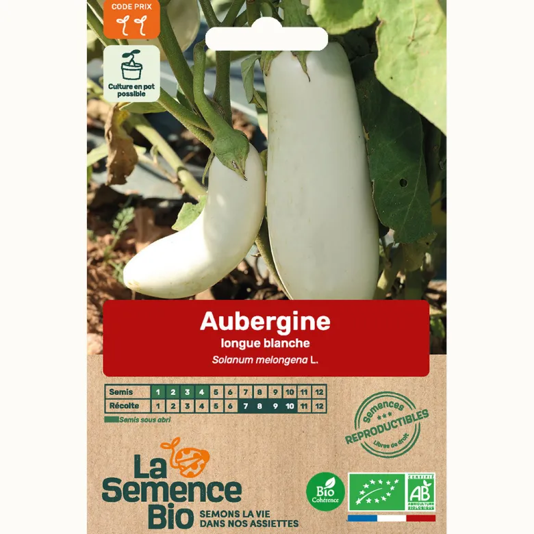 Aubergine longue blanche bio