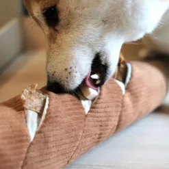Baguette, jouet friandises pour chien