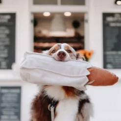 Baguette, jouet friandises pour chien