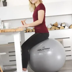 Ballon de gymnastique securemax violet