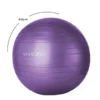 Ballon de yoga - 85 cm - violet