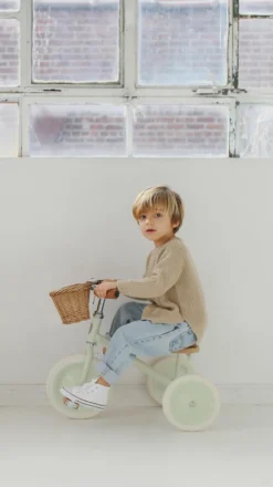 Banwood tricycle menthe