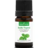 Basilic tropical - huile essentielle bio - 5ml garantie chromacert® - chémotypée