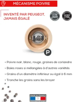 Bbq moulin à poivre en bois spécial