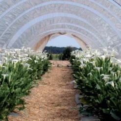 Bâche de protection 4x10 m 160 g-m2