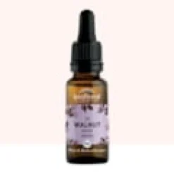Biofloral - fleur de bach n°33 walnut, noyer - bio demeter