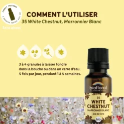 Biofloral - 35 white chestnut, marronnier blanc - bio