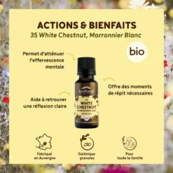 Biofloral - 35 white chestnut, marronnier blanc - bio