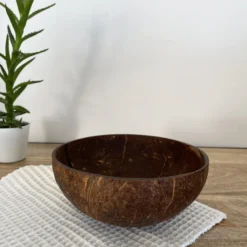Bol en noix de coco