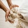 Bolster de yoga ovale coton et kapok bio