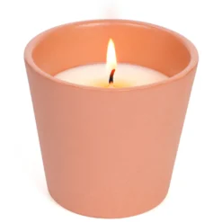 Bougie d'extérieur parfumée citronnelle SOS été en cire végétale terre d'Oc Pot terracotta