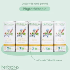 Bouillon blanc bio