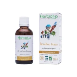 Bouillon blanc bio