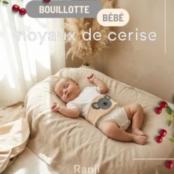 Bouillotte bébé noyaux de cerise koala