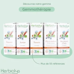 Bourgeons de gui 50 ml bio