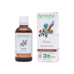 Bourgeons de poirier 50 ml bio