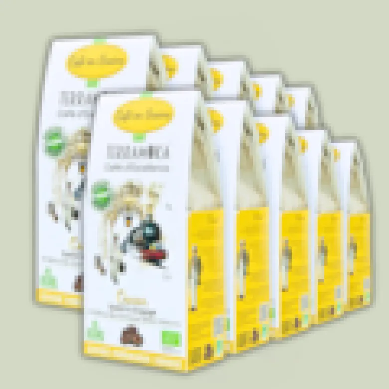Box de 10 x 200 g de cafés grain bio d'ethiopie