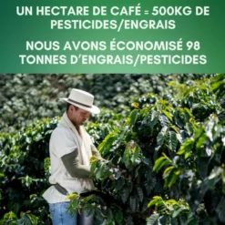 Box de 10 x 200g de cafés grain bio du brésil-mexique-tanzanie