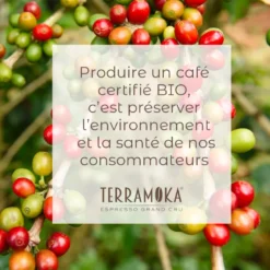 Box de 10 x 250 g de cafés moulu bio du brésil et mexique