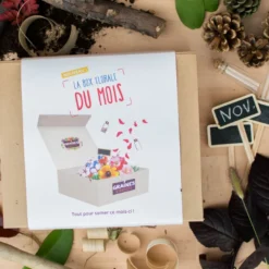 Box graines de fleurs de novembre
