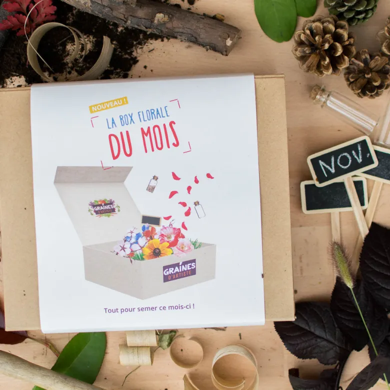 Box graines de fleurs de novembre