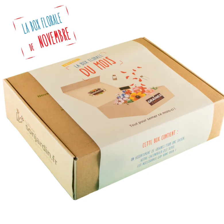 Box graines de fleurs de novembre