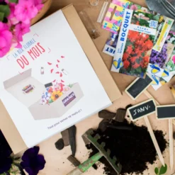 Box graines de fleurs à semer en janvier