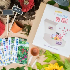 Box graines de fleurs à semer en mai