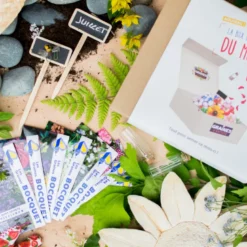Box graines de fleurs à semer en juillet