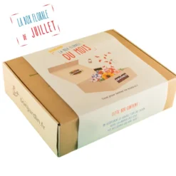 Box graines de fleurs à semer en juillet