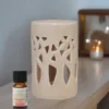 Brûle parfum forêt beige